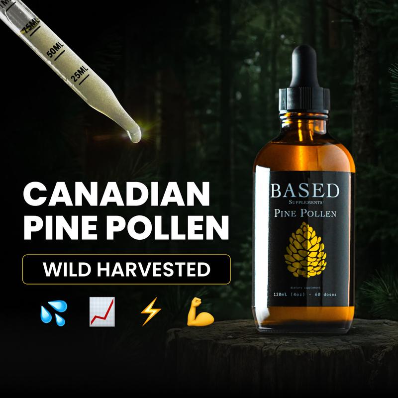 Pine Pollen Testosterone Support - 120ml